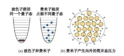 徒步偶遇！男子发现罕见巨型野生菌，网友：能吃吗？