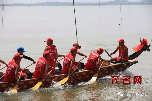 龙舟比赛现场热闹非凡