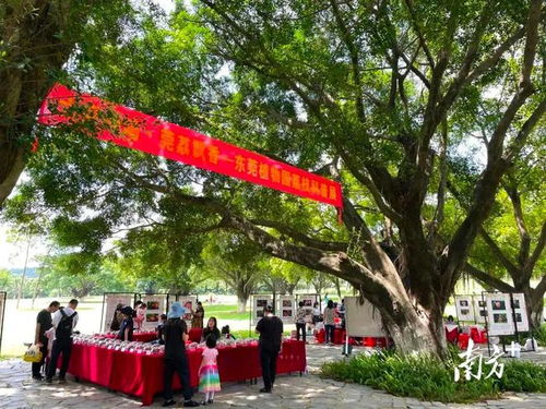 荔枝保鲜技术研发