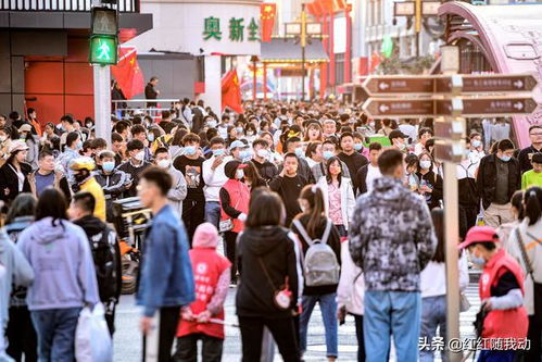 5月全国经济稳中有进，多地发展亮点频现