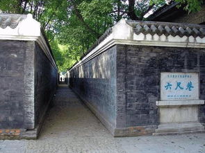 王毅为何提到“六尺巷”典故？背后深意令人动容！