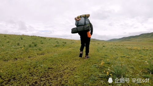 一位女性背着背包独自走在山间小路上