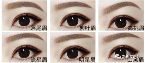 断眉今天最好笑的其实是…网友集体笑疯，评论区比本人还精彩