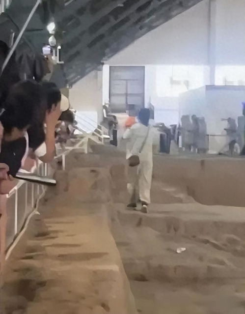 兵马俑坑惊现“闯入者”！男子精神异常引发热议