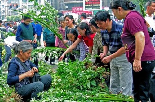 今日端午，世间美好接“粽”而至｜我的节日仪式感分享