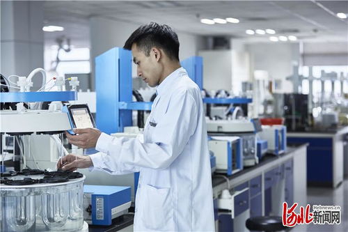 石药集团研发中心实验室场景