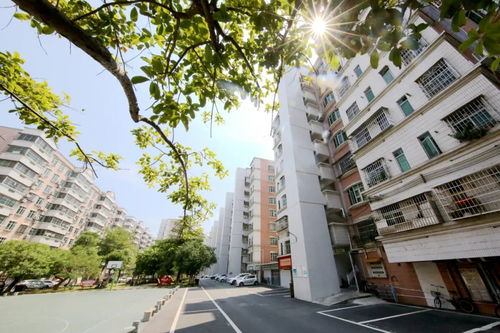 城市老小区焕然一新