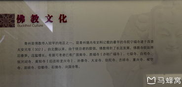 学生与家长在青州博物馆内参观明代状元卷