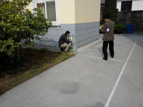 人们在地震后检查房屋安全