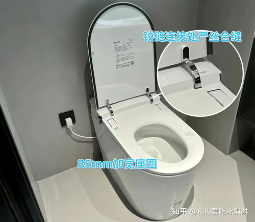 市民使用智能马桶