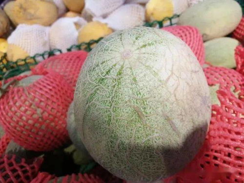 哈密瓜表面纹理特写
