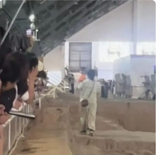 工作人员将男子从兵马俑坑中拉出