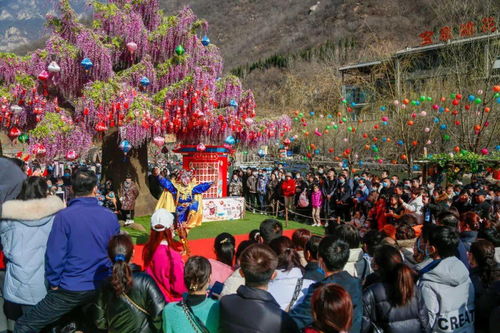 宝泉景区内人们正在进行户外瑜伽