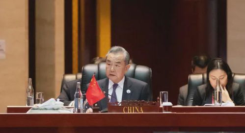 王毅在会议上发言