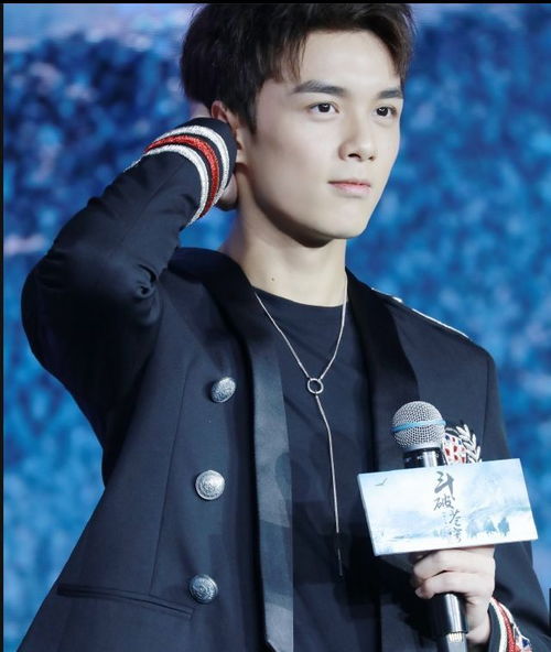 吴磊的白月光之夜：一场温柔与梦想交织的星光盛宴