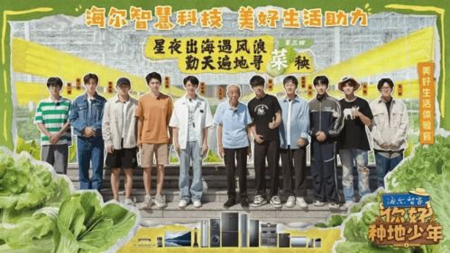 十个勤天成员在青海田野中品尝芫根