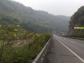 满庭芳·回故乡：一场穿越时光的归途