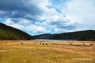 假期旅行中的毛坯瞬间：我与自然的不完美邂逅