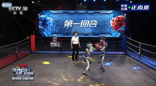 马斯克担忧中国主导人形机器人市场？未来十年科技投资最大主题或已悄然开启