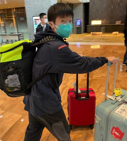 樊振东微笑面对镜头