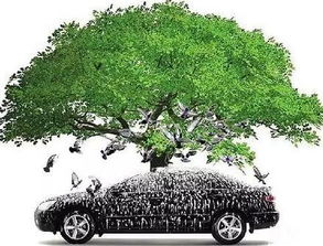 尊界S800白色车身在树荫下实拍图