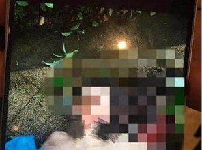 涉案女子被警方带走现场照片