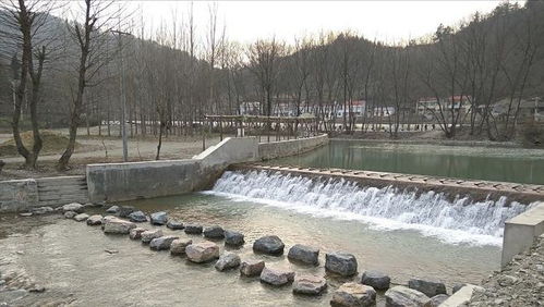 15岁男孩返校途中失联已近72小时：生死一线间，牵动全城心