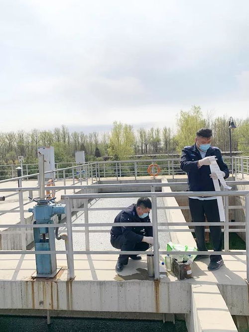 污水厂BOD检测怪象：低含量为何测出高数值？