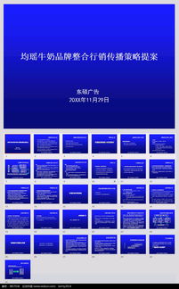 品牌整合传播策略图示例