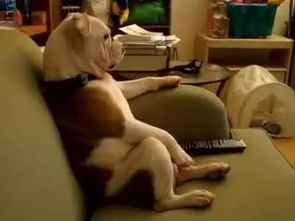 哄自己洗澡有多难？一个成年人的自我救赎之路