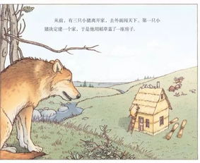 想做猪，可是又不能懒得心安理得：当代打工人的真实写照