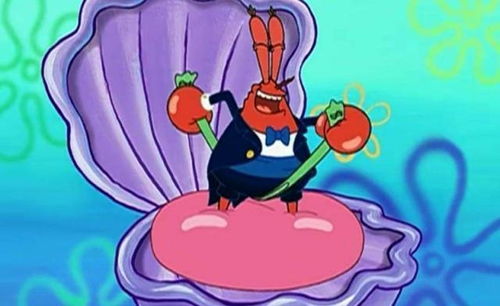 阳光洒在章鱼哥身上