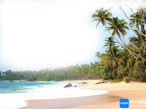 海南度假记：清凉一夏的完美旅程