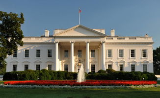 白宫与哈佛对峙现场照片