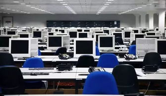 政府效率部办公室工作场景