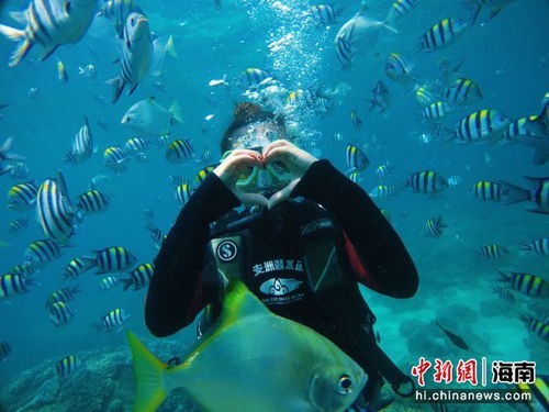 蜈支洲岛潜水体验