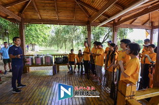 大学生体验龙舟文化