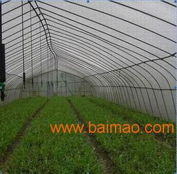 农业大棚内滴灌系统使用聚乙烯支架