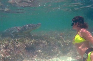 阿汤哥水下拍摄现场照片