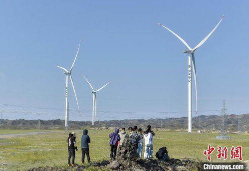 草原上的风力发电机群