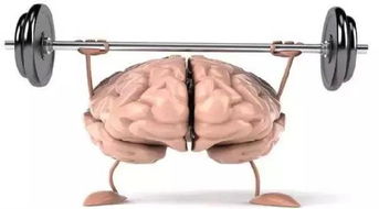 大脑与自然的对话：从认知到健康的秘密