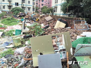 豪宅内堆满垃圾的场景