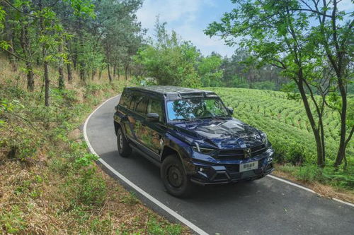 猛士M817车内智能座舱布局图