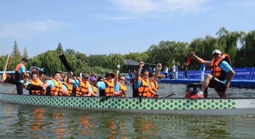 大明湖龙舟赛笑料不断，观众直呼：这才是端午节该有的样子！