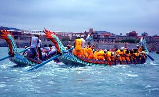 端午节活动照片