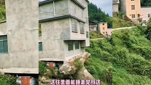 现代化农村房屋与老牛对比