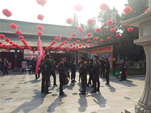 一群人在公园跳舞庆祝的场景