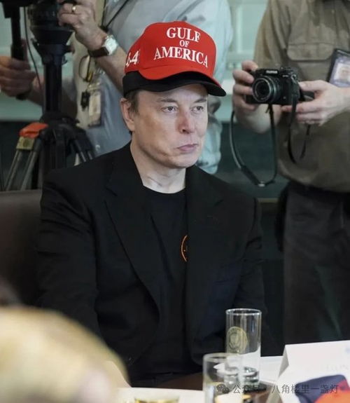 马斯克在会议上叠戴两顶帽子的照片