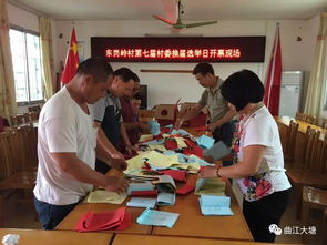 村民投票选举村委会成员