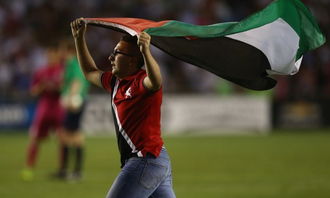 球迷在球场挥舞旗帜欢呼